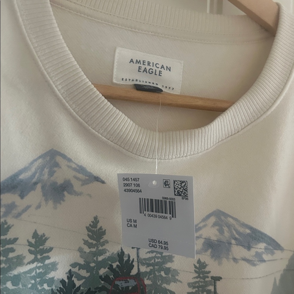 AE APRES SKI relaxed fit sweatshirt NWT - Picture 6 of 8